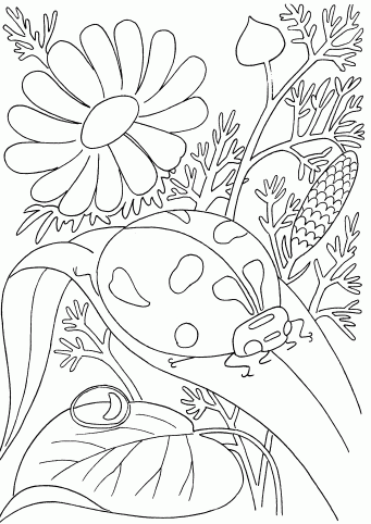 animals-insect-beautiful-lady-bug-in-garden-coloring-pages-for-children
