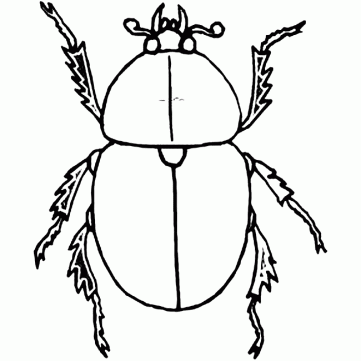 dung-beetle-color-page-1