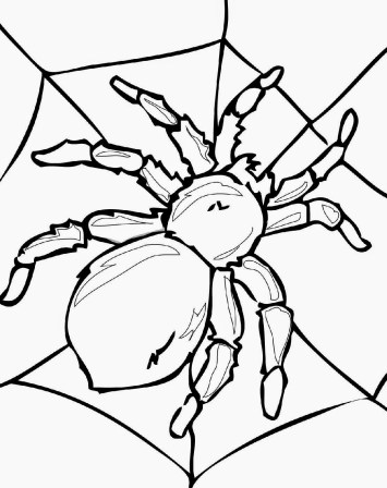 insects-coloring-pages-printable-id-88883-uncategorized-yoand